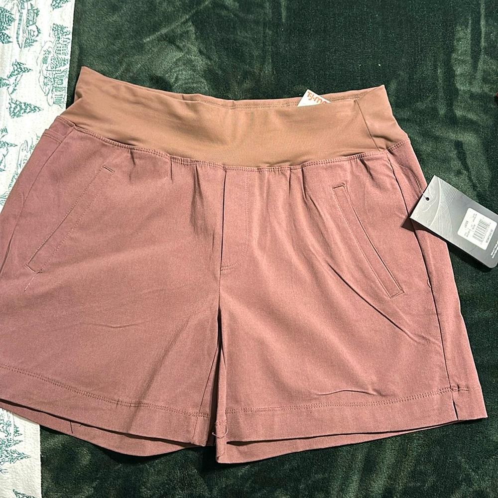 Swiss Alps Performance Shorts